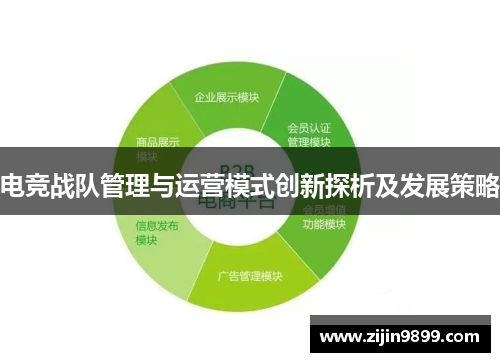 电竞战队管理与运营模式创新探析及发展策略