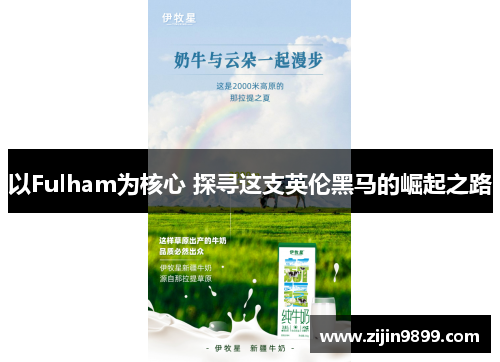 以Fulham为核心 探寻这支英伦黑马的崛起之路